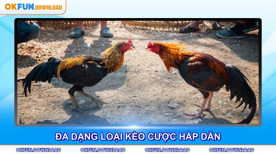 Đa dạng loại kèo cược hấp dẫn cho thành viên