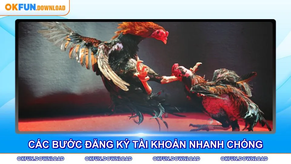 Các bước đăng ký tài khoản nhanh chóng