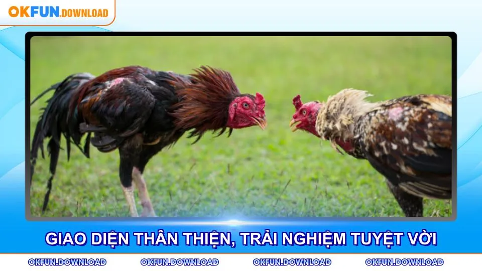 Giao diện thân thiện mang trải nghiệm tuyệt vời