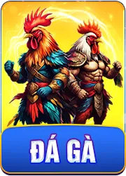 Đá gà